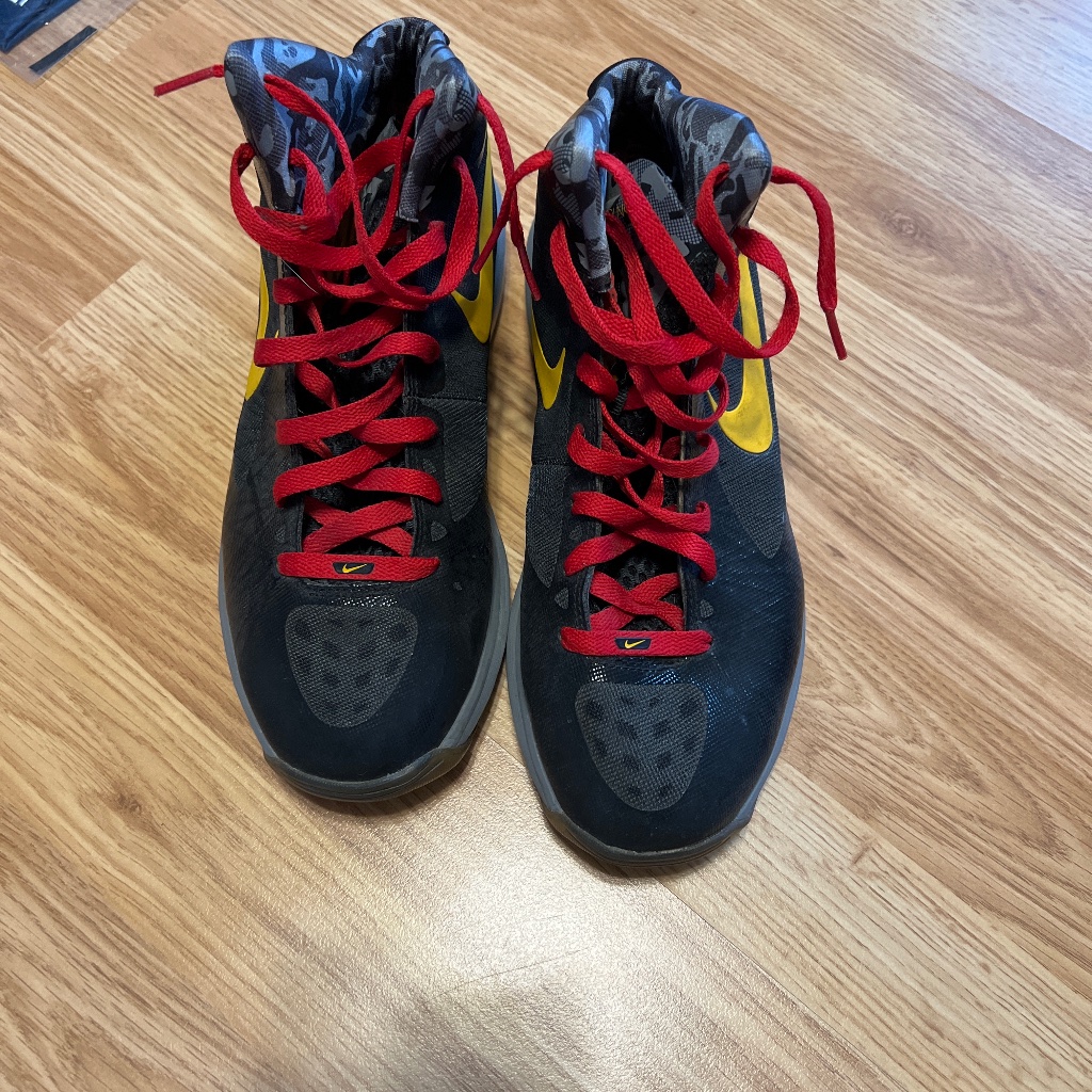 Nike Chris Bosh Basketball Shoes
